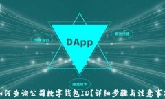 如何查询公司数字钱包I